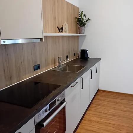 Haus Eisenhut Διαμέρισμα Fiss